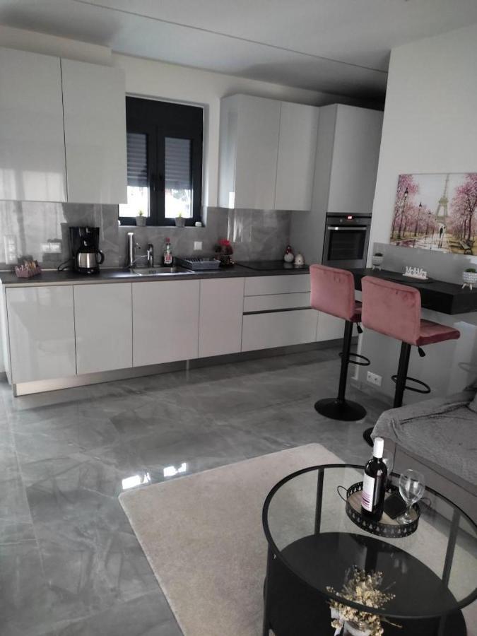 Olina'S Luxury Apartment 特里卡拉 外观 照片